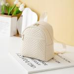 Casual Daily Bag for Women